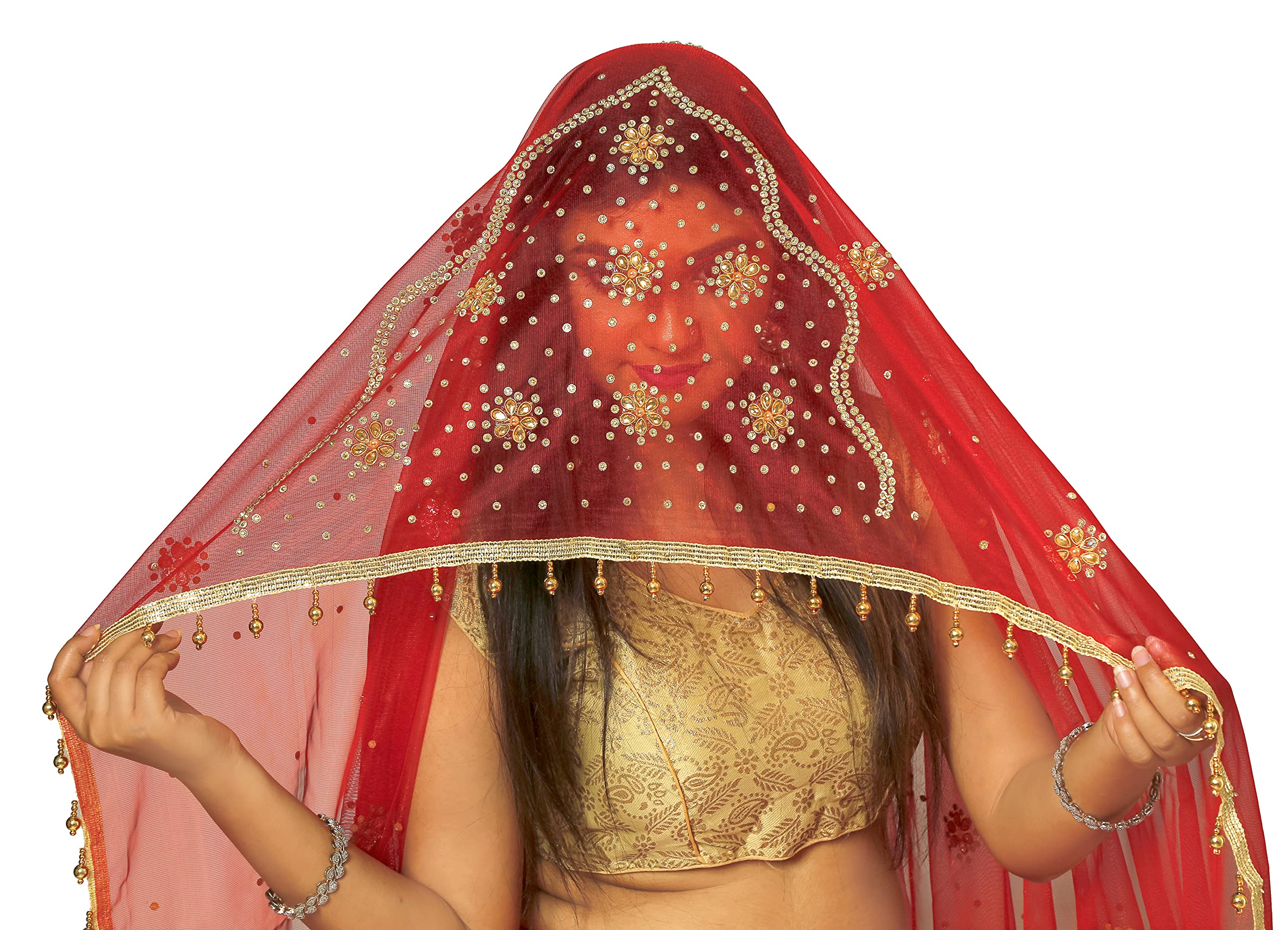 POVAMI (Dno 842 Red Net Hand Embriodery Dupatta with Matha and small Buta all over