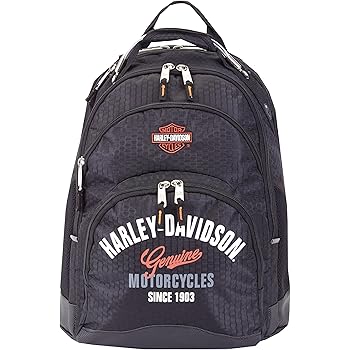 tail of the dragon harley davidson