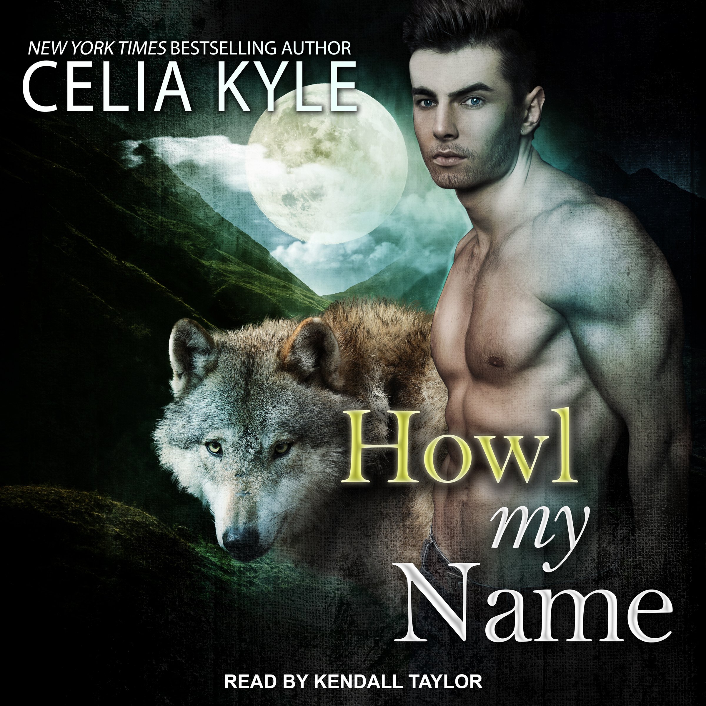 Cover art for Howl My Name