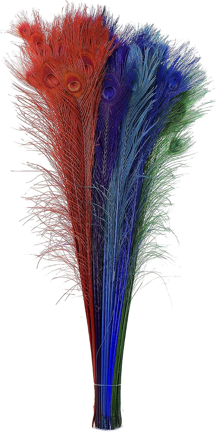 Jewel Mix Peacock Eye Feathers - 25-40" 100pc Wedding DIY Craft Home Decor