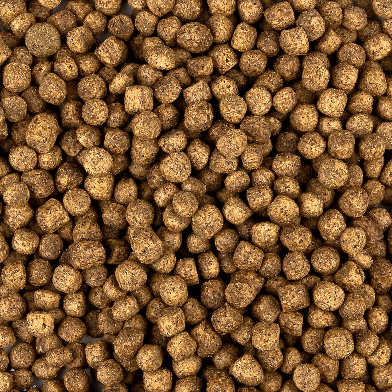 All Season Koifutter 6mm - schwimmendes Ganzjahres Futter für Koi und Teichfische für ausgewogene Fisch-Ernährung mit Fischöl, Astaxanthin (13,5 kg)