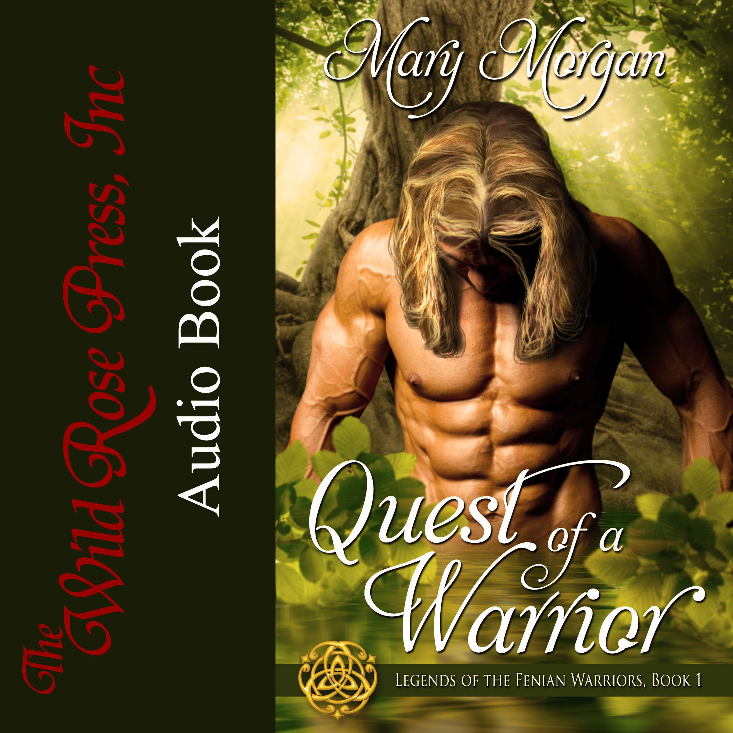 Cover art for Quest of a Warrior