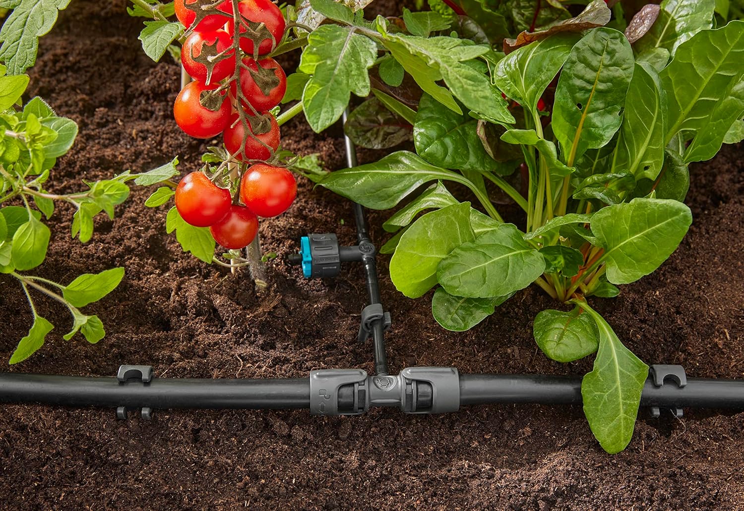 Gardena Micro-Drip-System Reducing T-Piece: Practical T-Connection for Transition Between 13-mm Pipe and 4.6-mm Pipe, Quick & Easy Connection Technology, Reusable (13204-20)