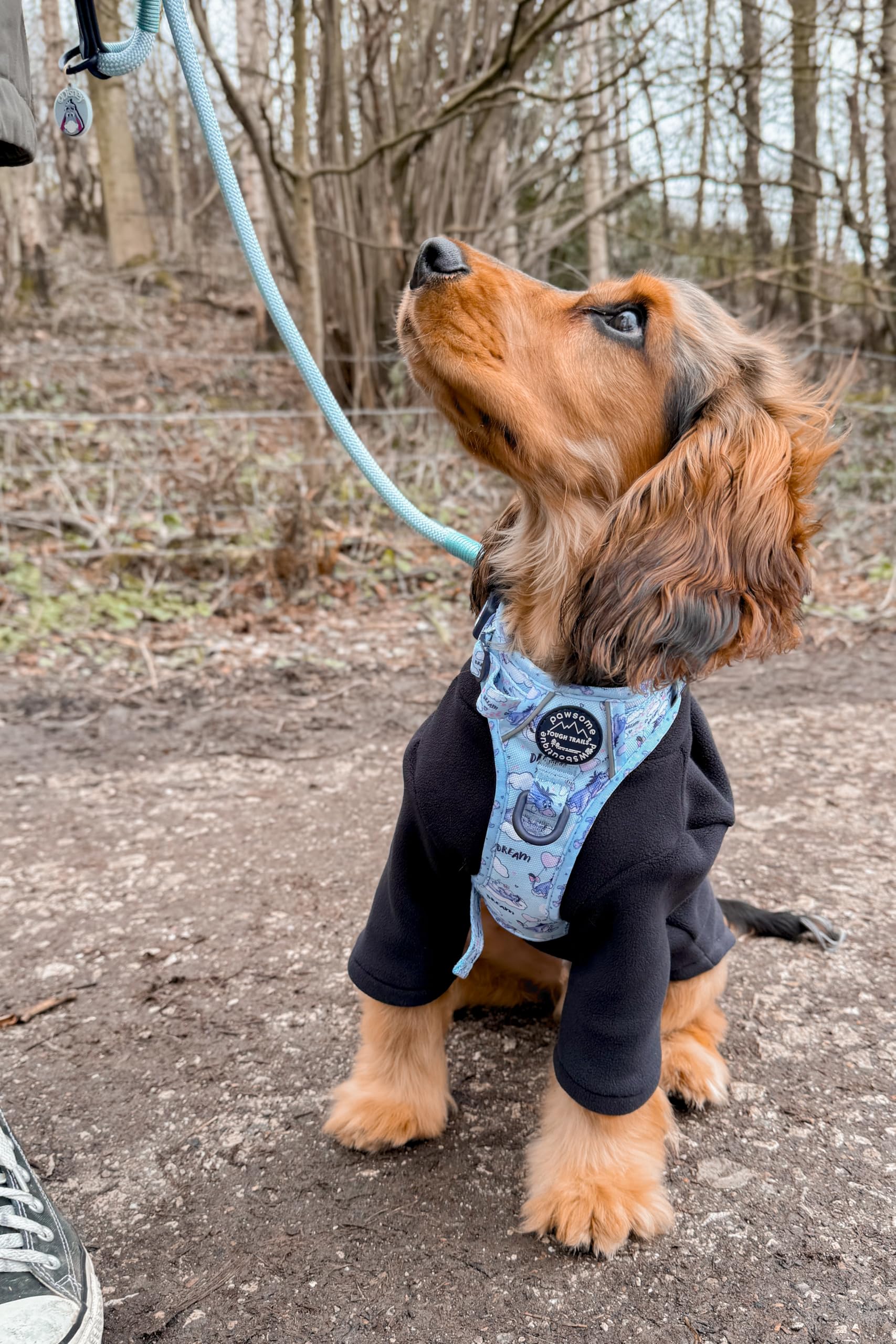 Pawsome Paws Boutique Eeyore - Arnés para Perro Grande Tough Trails – Arnés Ajustable con diseño de Disney sin tirones con Ribete Reflectante y Hebilla Resistente