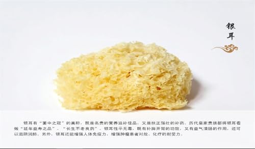 Health Treasure: the Wisdom of Traditional Chinese Medicine