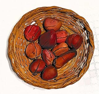 Organic Obi Abata Cola Nuts, Traditional African Kola, Fresh Whole