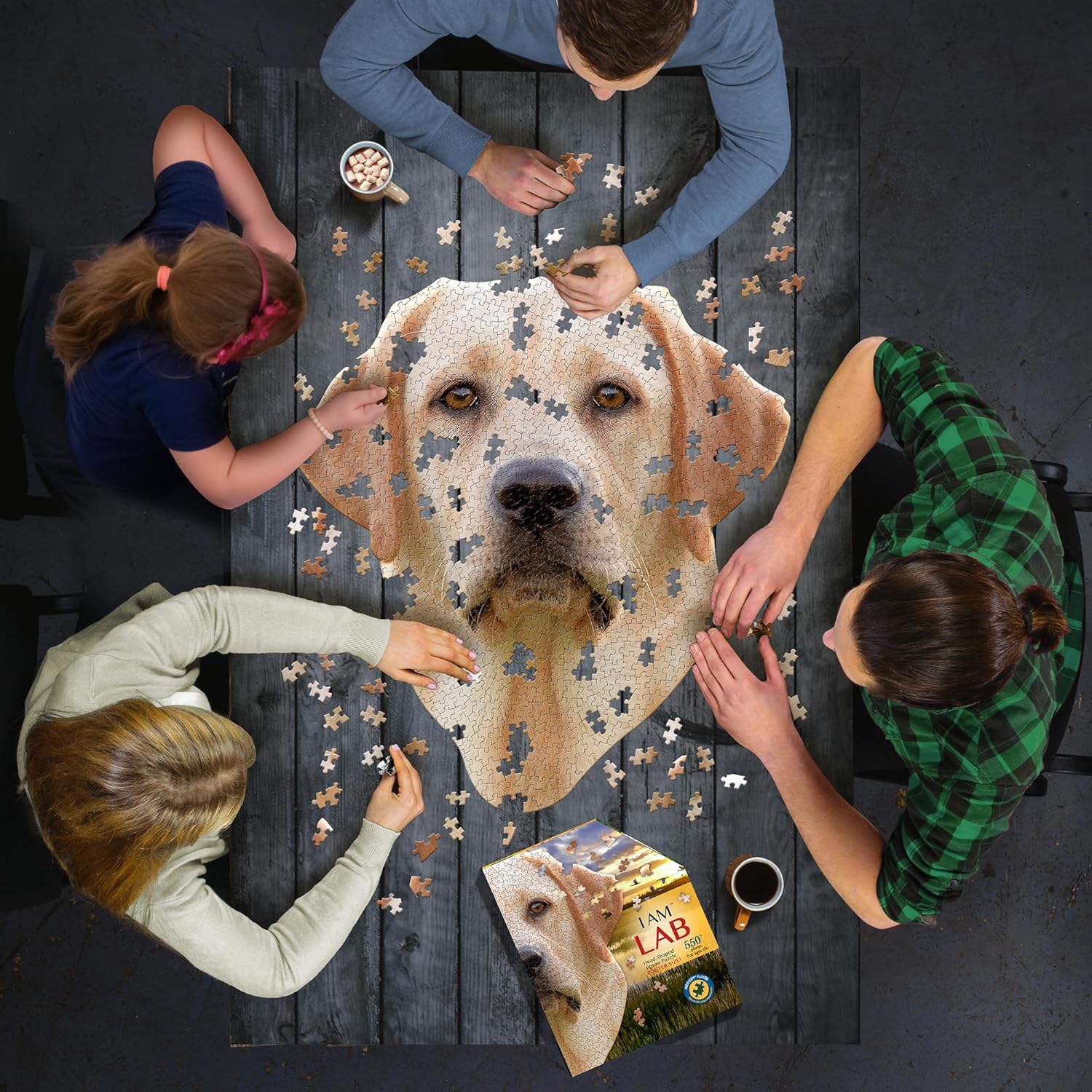 I Am Lab 550 Puzzle