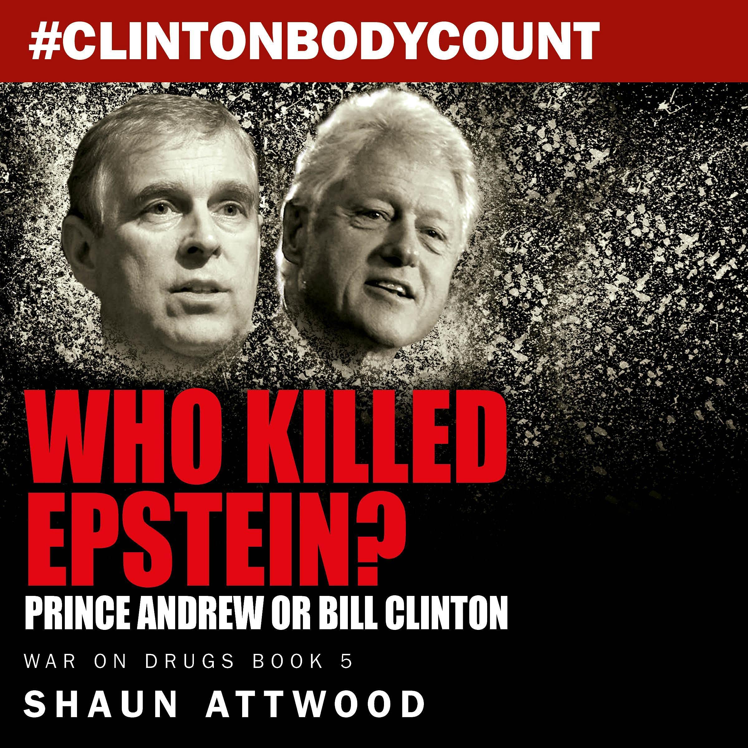 Cover art for Who Killed Epstein?