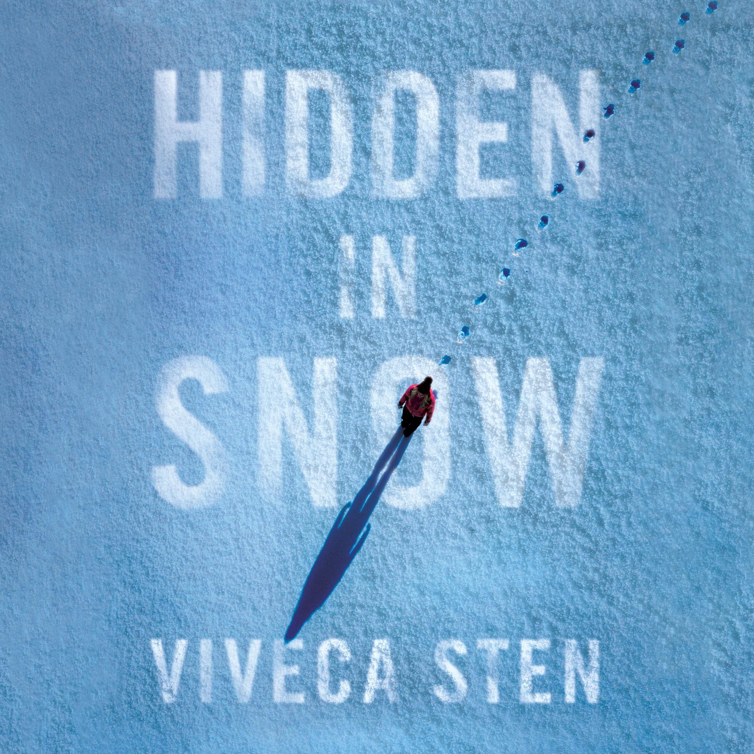 Cover art for Hidden in Snow
