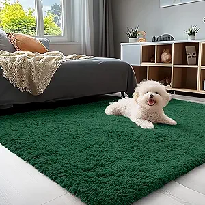 OLANLY 3x5 Machine Washable Small Bedside Rug, Soft Fluffy Shaggy Rugs for Living Room, Bedroom, Indoor Floor Carpet for Kids Girls and Boys, Preppy Dorms, Nursery, Home Decor Aesthetic, Dark Green