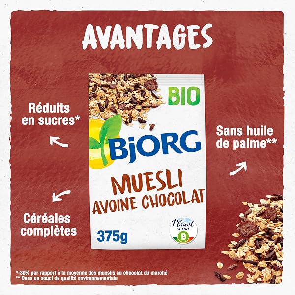BJORG - Muesli Avoine Chocolat Bio - Muesli Croustillant aux Céréales Complètes - Sachet 375 g - 2