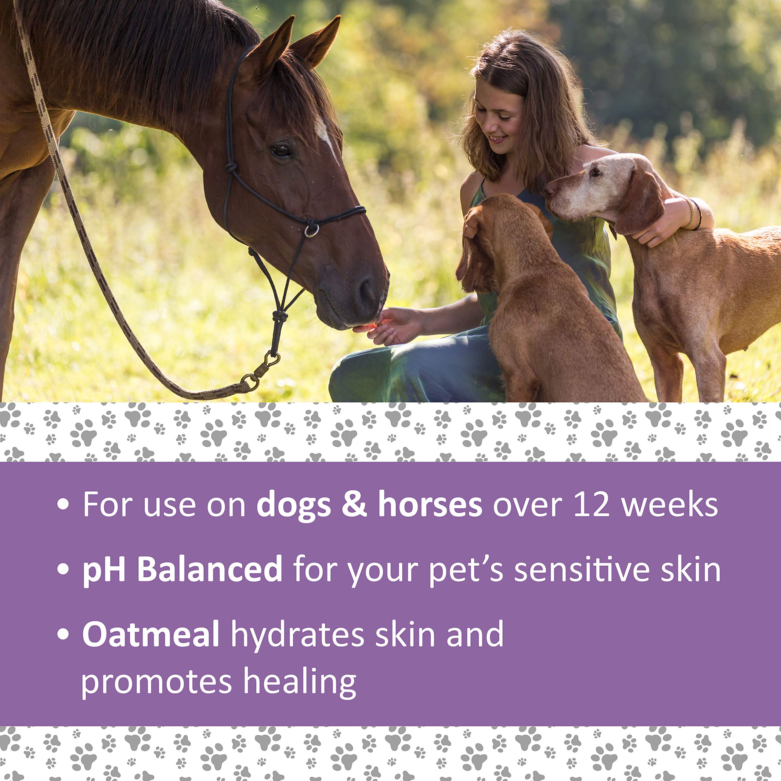 Veterinary Formula Clinical Care Antiparasitic & Antiseborrheic