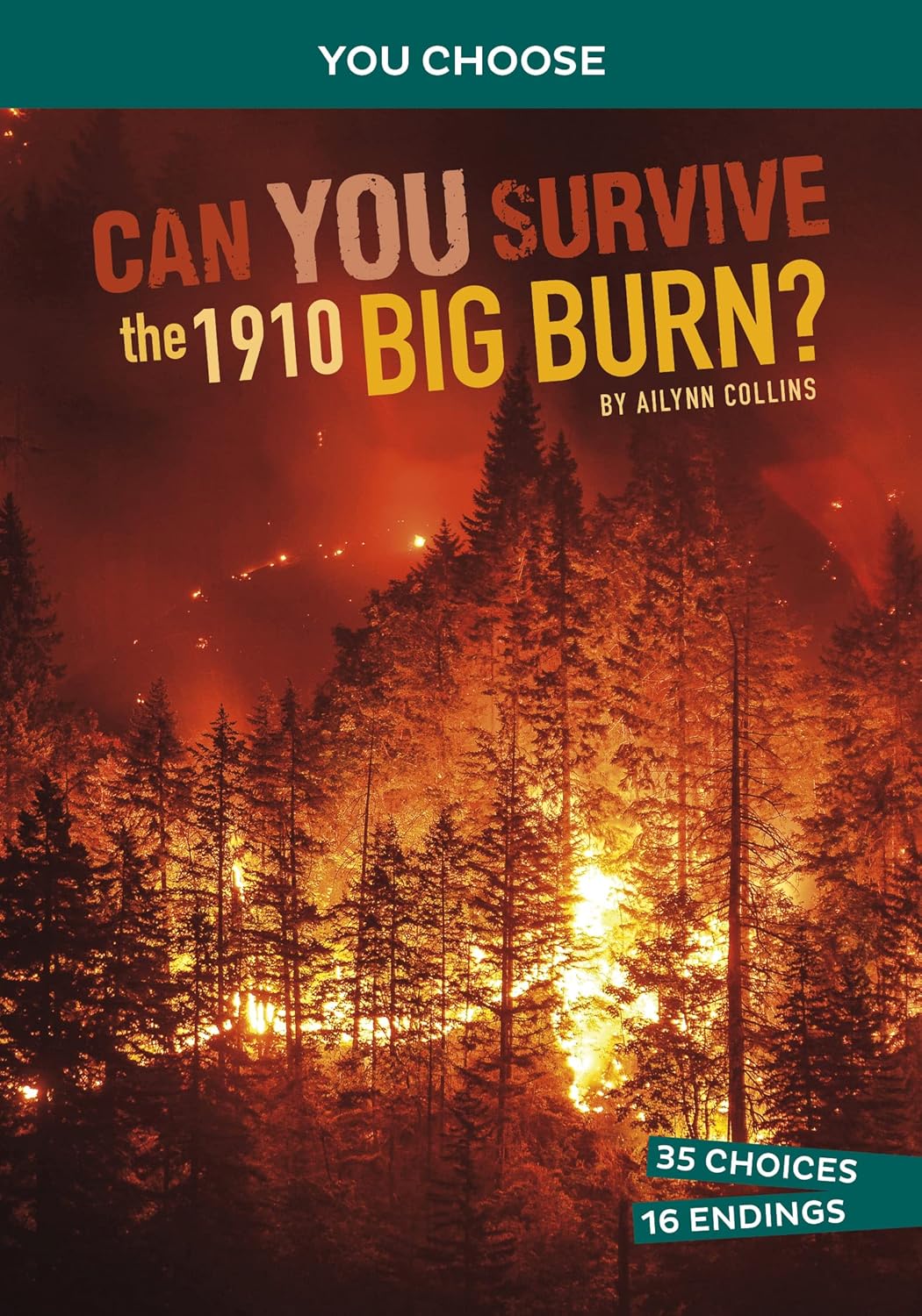 Can You Survive the 1910 Big Burn?: An Interactive History Adventure (You Choose: Disasters in History)      Paperback – January 1, 2023