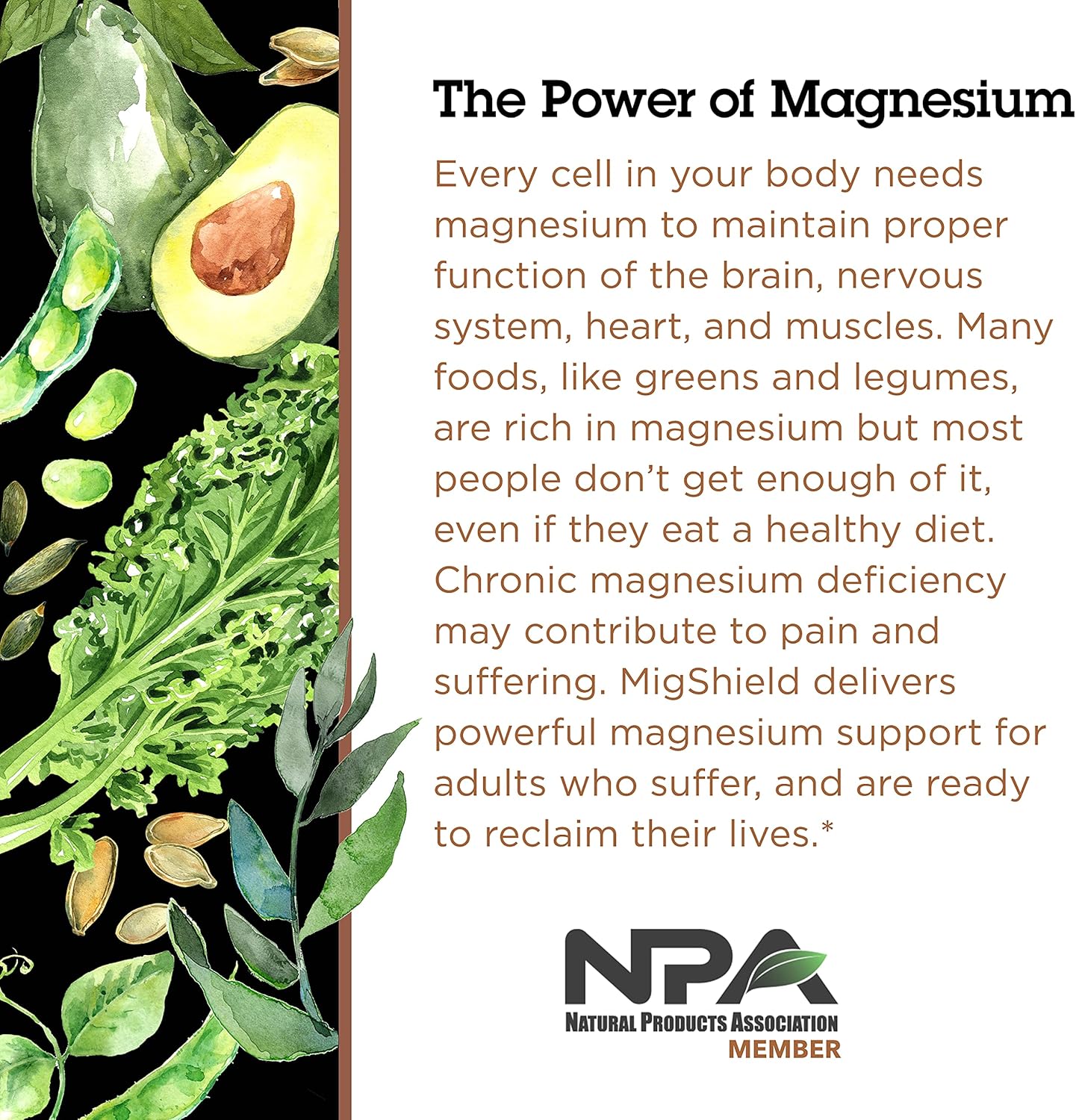 Quantum Health MigShield Tablets, Dietary Supplement, 60 Ct. : Health & Household