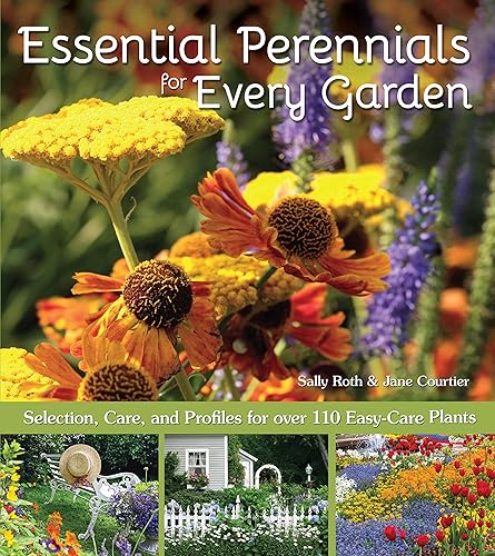 Essential Perennials for Every Garden: Selection, Care, and Profiles for