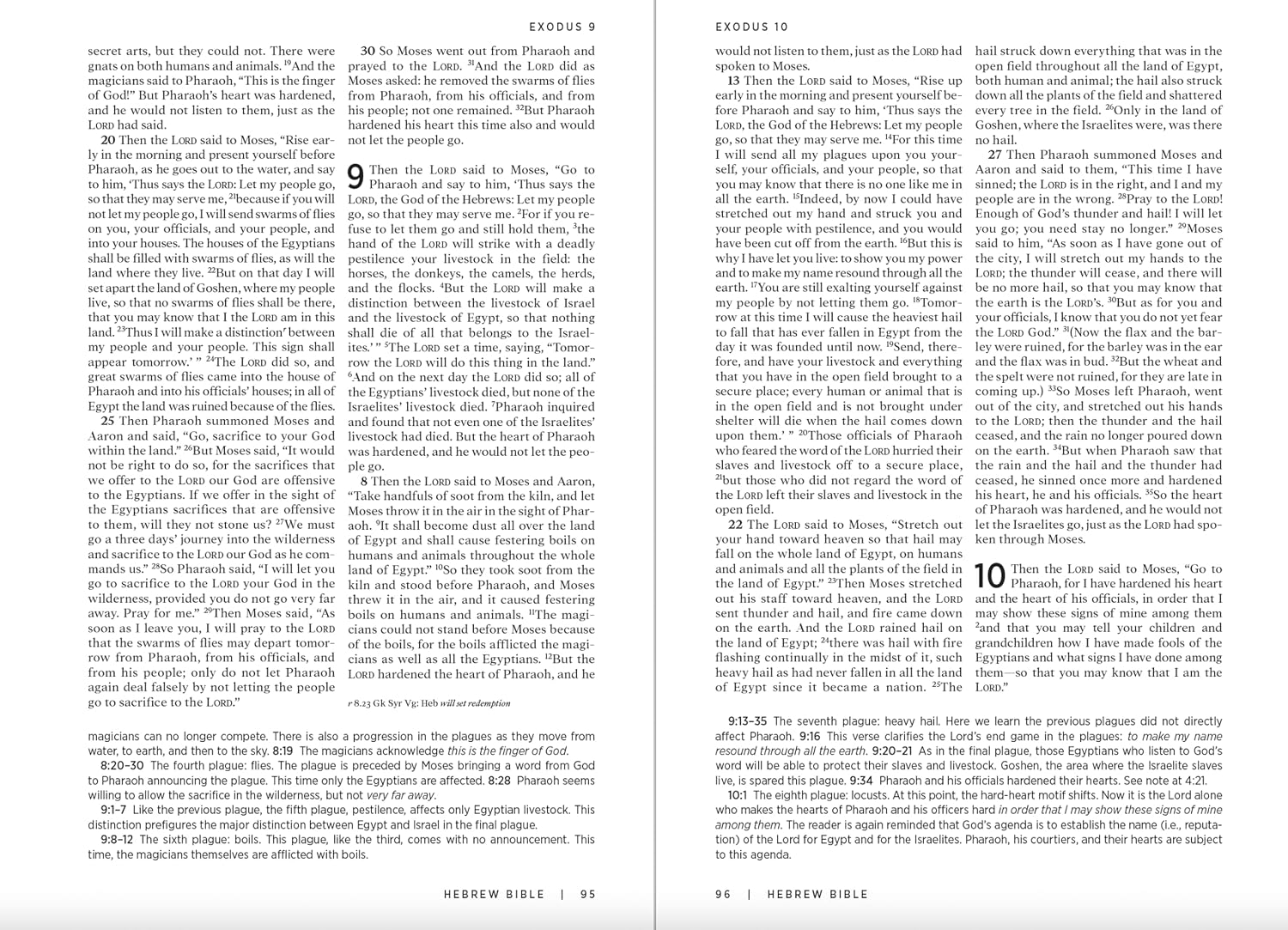 The Westminster Study Bible: New Revised Standard Version Updated Edition with the Deuterocanonical/Apocryphal Books