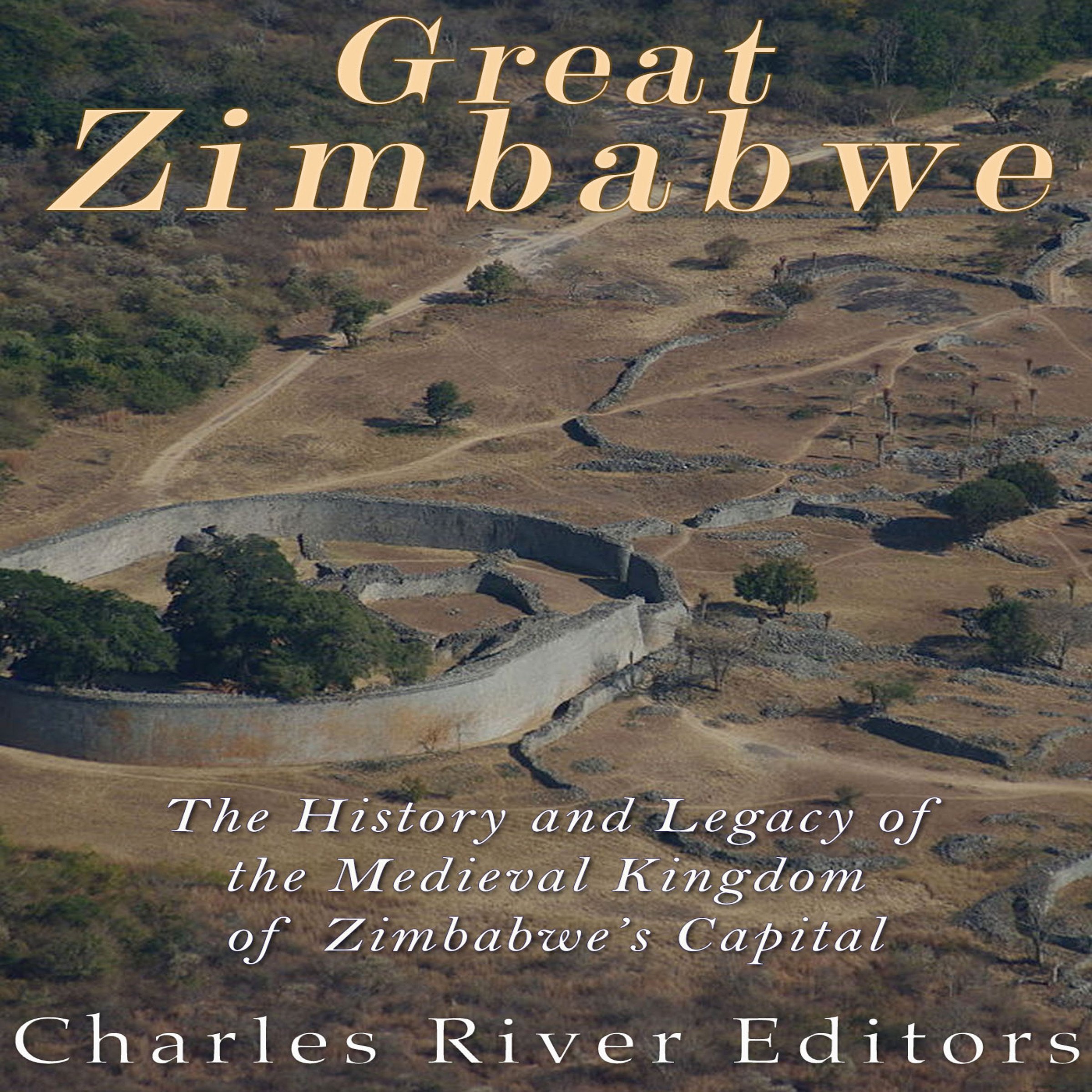 Buy Great Zimbabwe The History and Legacy of the Medieval Kingdom of