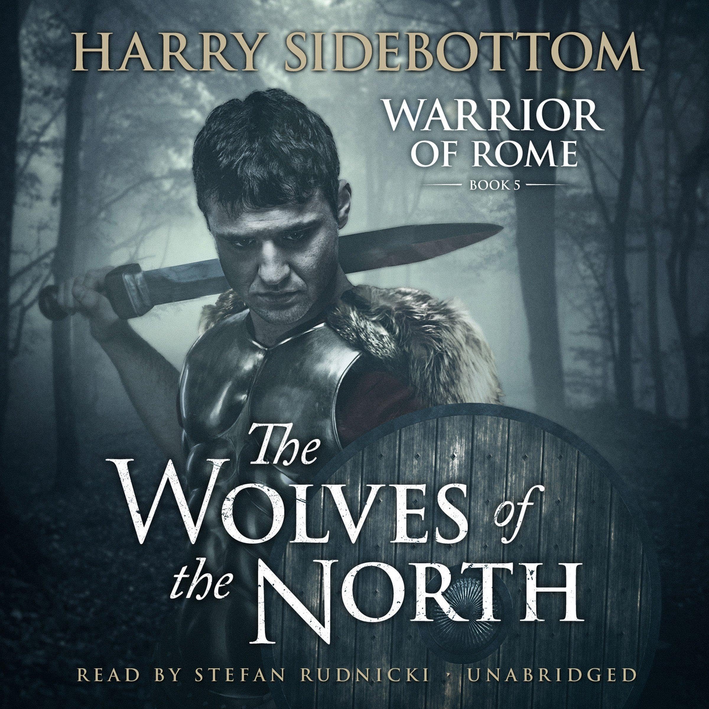 Cover art for The Wolves of the North