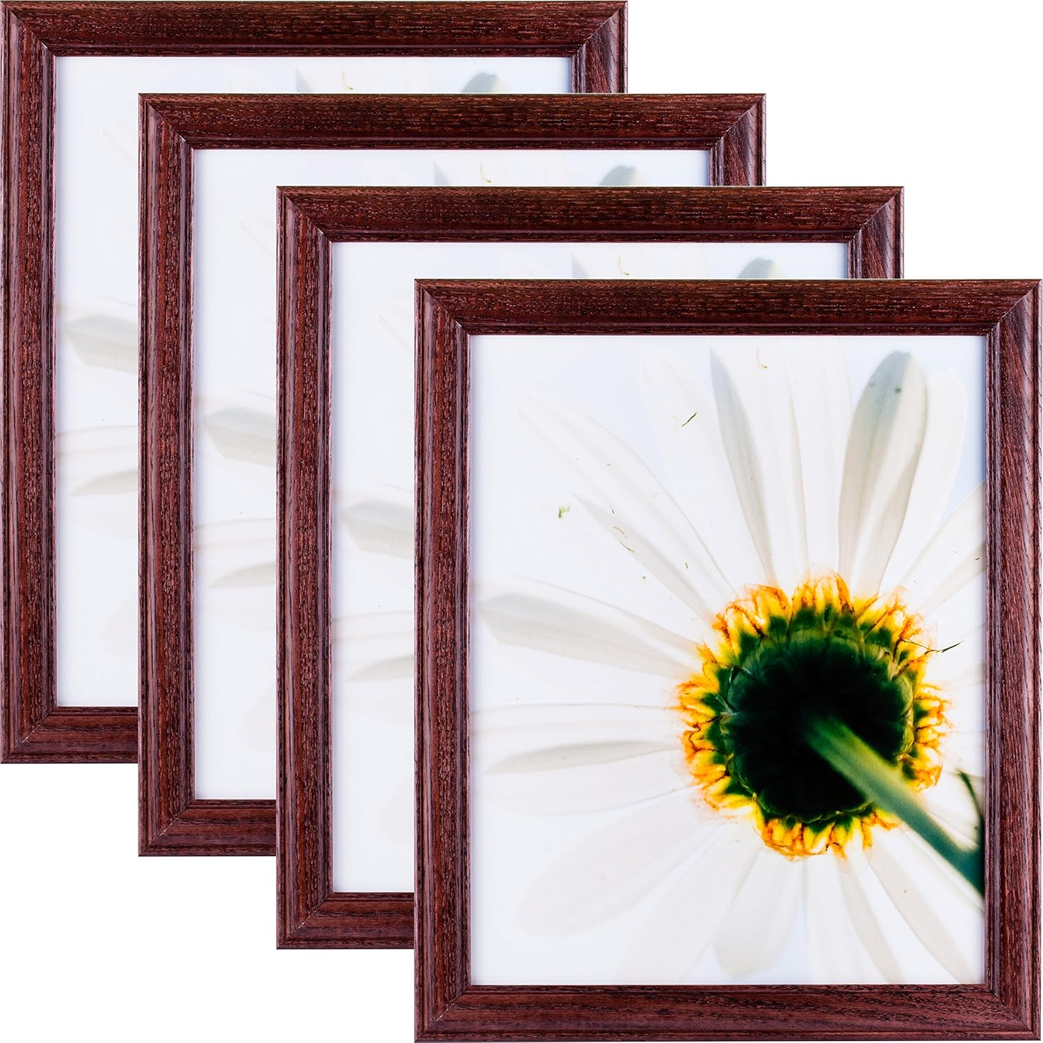Craig Frames 2364CH Hardwood Picture Frame, 4 x 10 Inch, Red, Set of 4