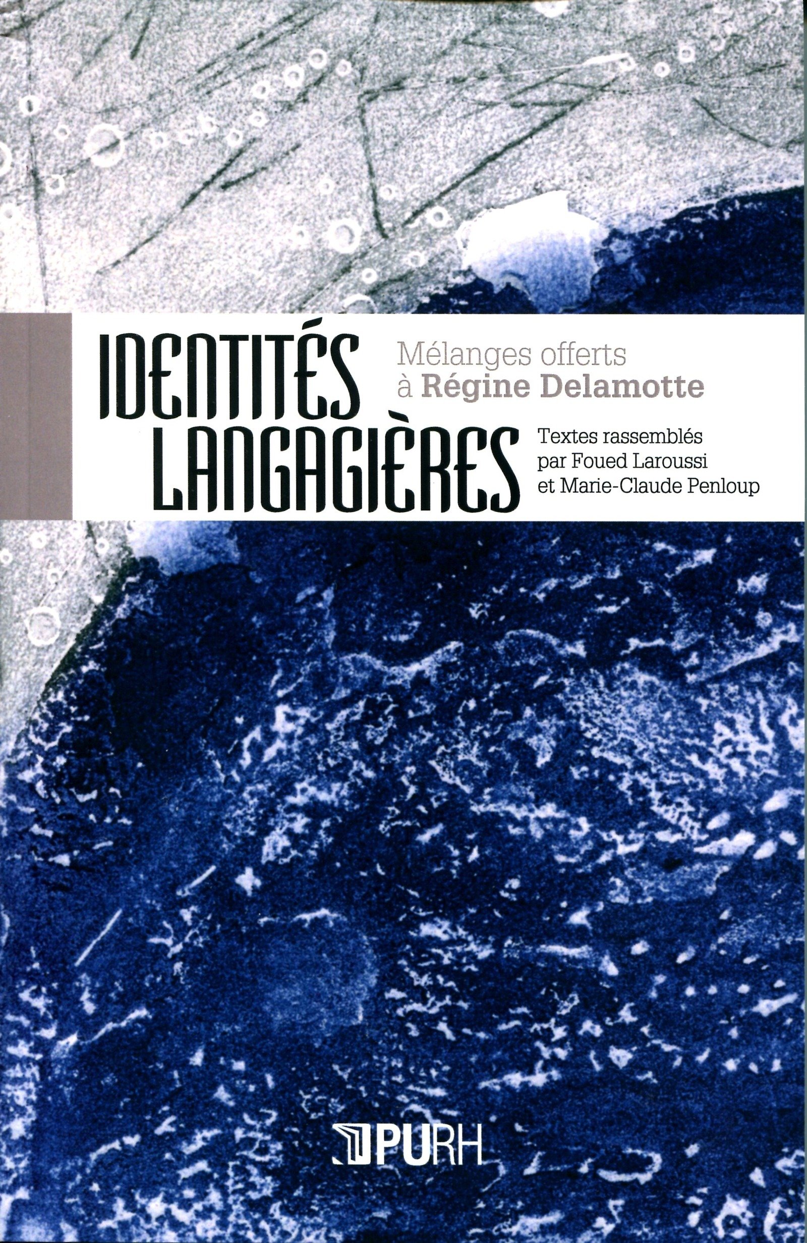 Identités langagières: Mélanges offerts à Régine Delamotte (Dyalang) (French Edition)