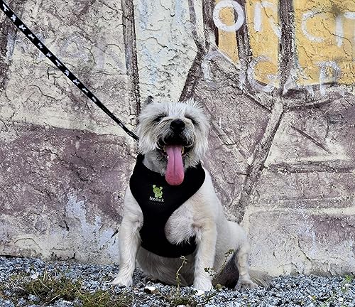 Miniatura 4 de EcoBark Arnés para perro de máxima comodidad diseño sin tirones y que evita estrangulamiento, lujoso chaleco acolchado, respetuoso con el medio