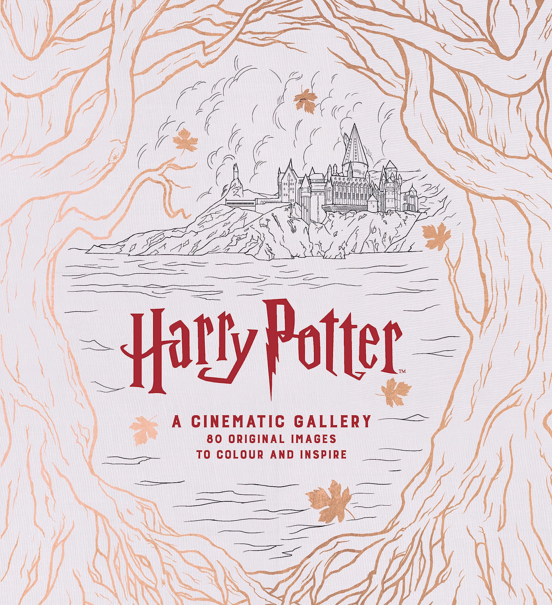 Harry Potter A Cinematic Gallery
