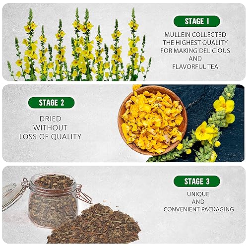 Miniatura 2 de TeaDreamTea Té de hierbas de gordolobo seco flores de gordolobo naturales té suelto de 3 onzas sin cafeína hoja de gordolobo de primera calidad puro