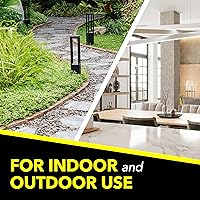 Vista 4 de Raid Asesino de insectos múltiples, brisa de naranja, 15 onzas (paquete de 1)