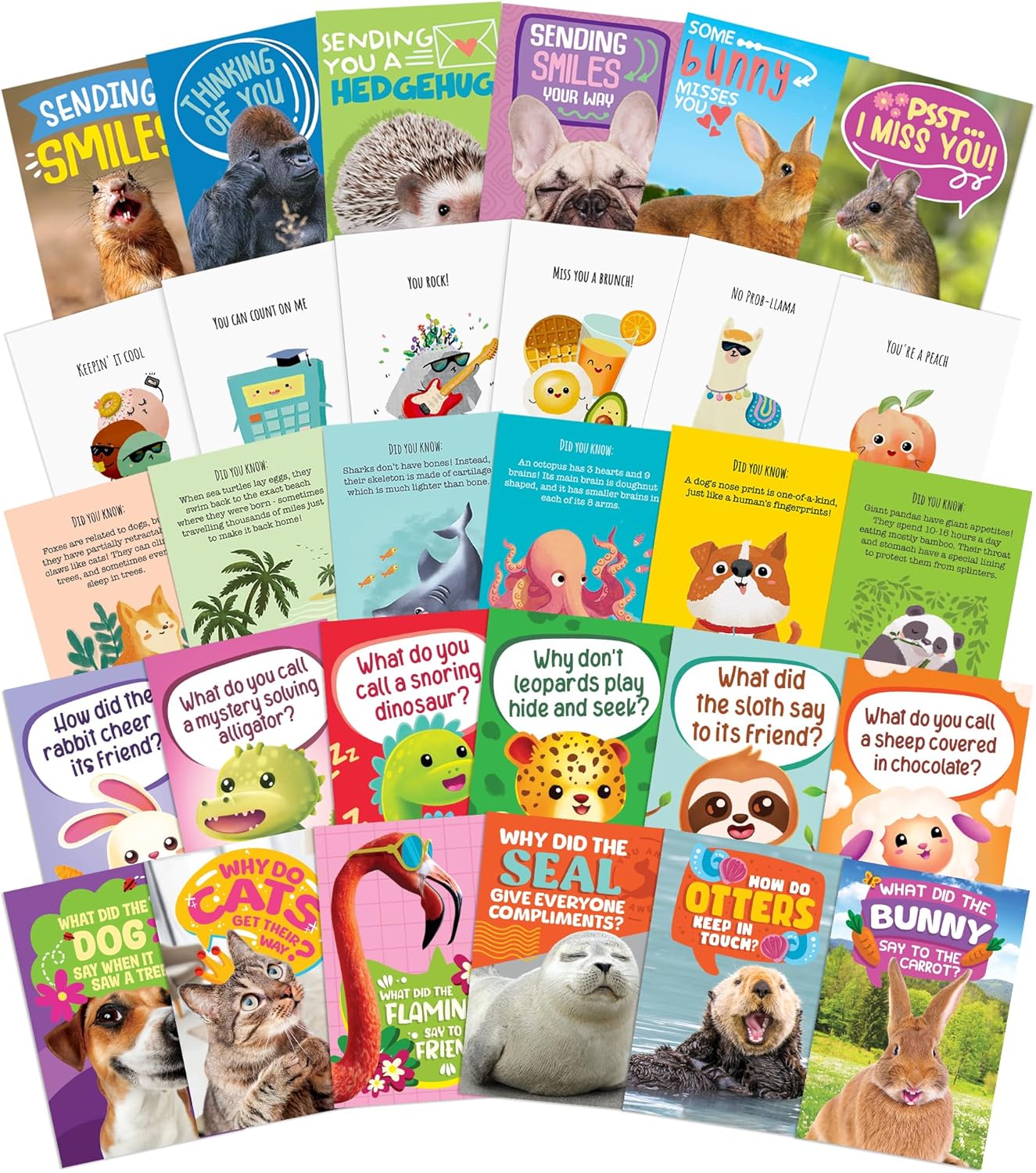 T MARIE 200 Funny Animals and Punny Cartoon Postcards - 4 x 6” Bulk Pack with 140 Unique Designs for Kids, Family, Friends, Students, Teacher, Summer Camp and More- Say Hello, Thank You or I Miss You