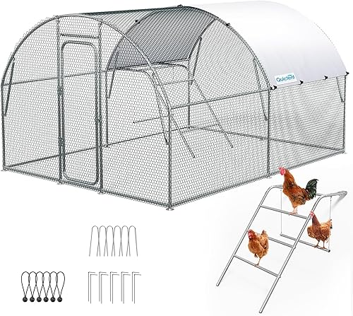 Quictent Gallinero grande de metal para aves de corral de 1020 con perca y columpio, 13 x 10 pies mejorado al aire libre jaula arco, gallina, pato,