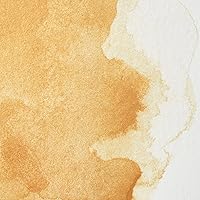 Vista 176 de Winsor & Newton - Pintura para acuarela profesional