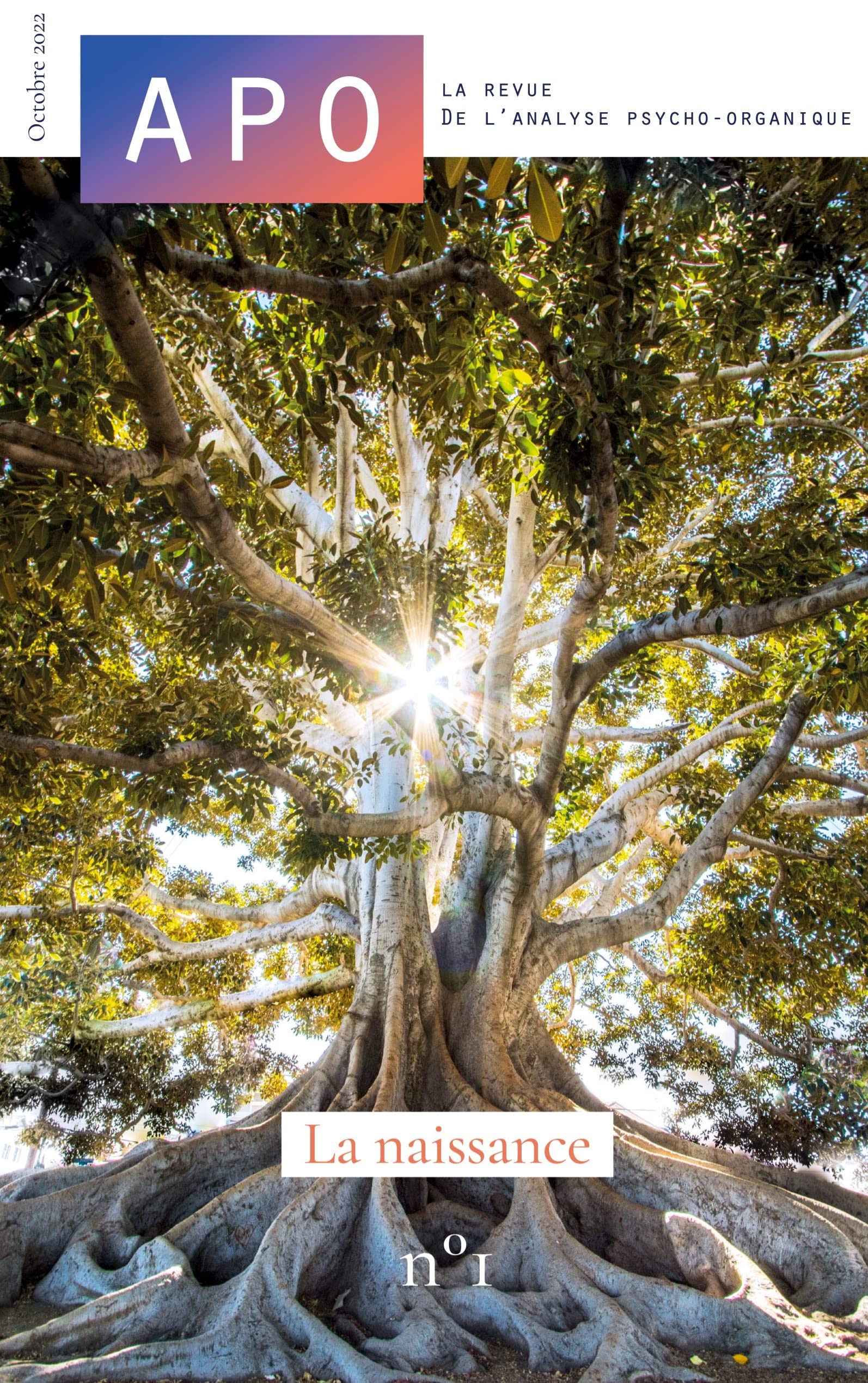 Apo: La Revue de l'Analyse Psycho-Organique. N°1