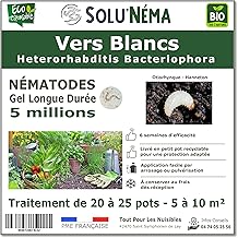 Solunema 5 Million HB Nematodes Against Whiteworms, Chafer Larvae and Otiorhynch Larvae – Long-Lasting Gel Formulation for Treating Up to 25 Pots or 5 to 10 m² – Organic Treatment