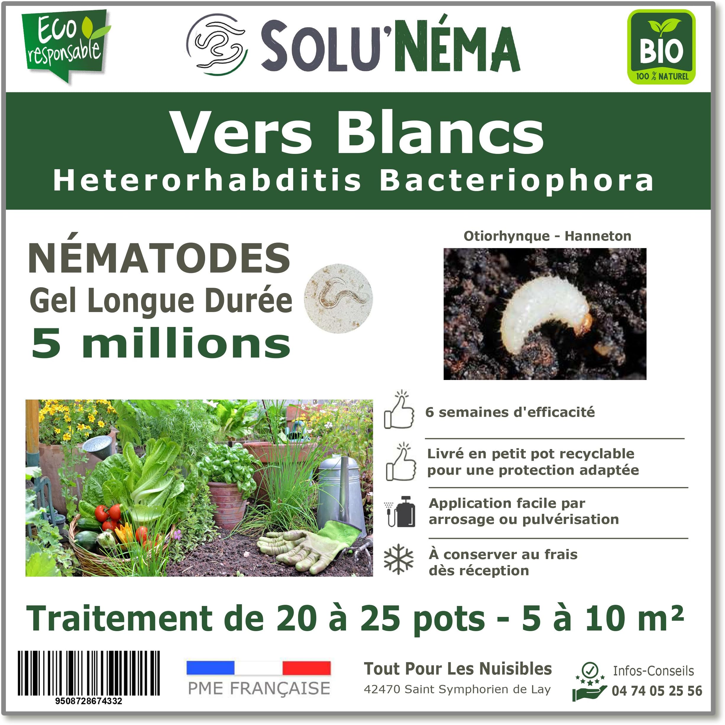 SOLUNEMA - 5 millions de Nématodes HB Contre Les Vers Blancs, larves d'Hanneton et larves d'Otiorhynques - Formulation Gel Longue Durée pour traiter jusqu'à 25 pots ou de 5 à 10 m² - Traitement bio