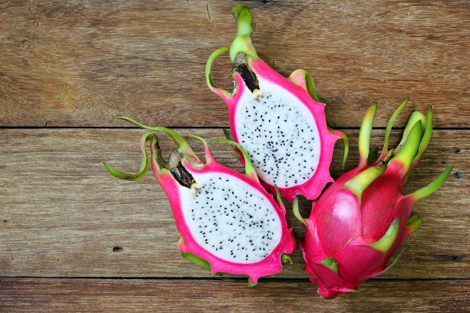 Dragon Fruit Plant Live Pitaya Pitahaya Vietnamese Outdoors 1 Plant Rooted