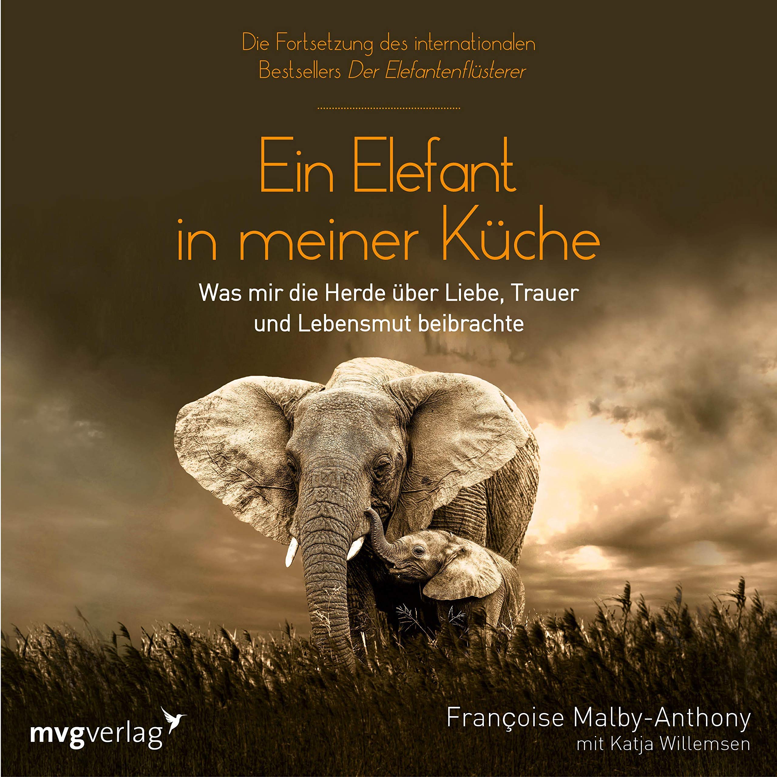 Ein Elefant in meiner Küche