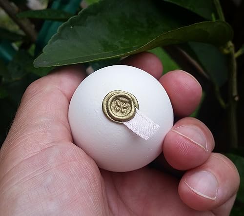 Unique Wedding Favors - Monarch Habitat Seed Eggs