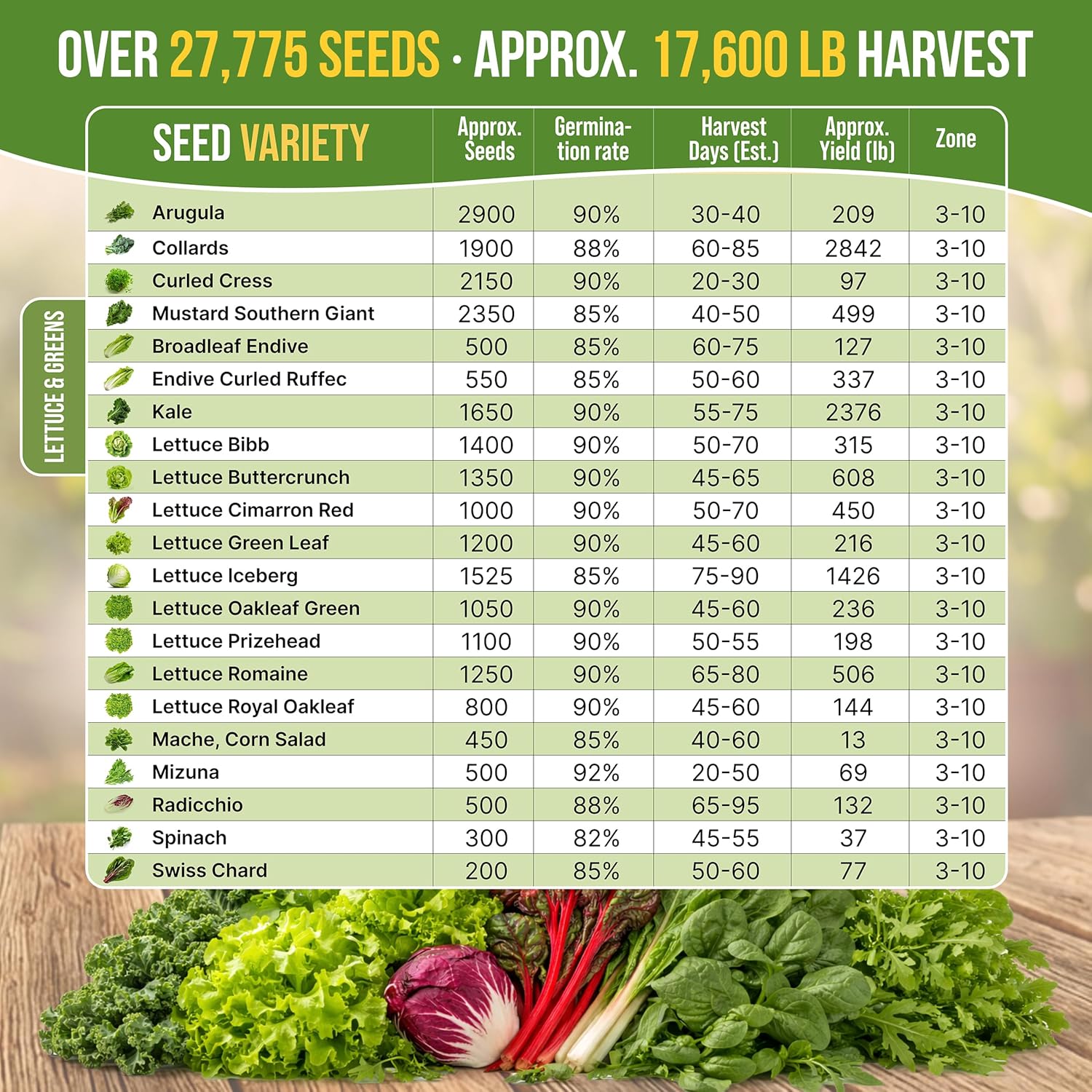 Organo Republic 22 Lettuce & Salad Greens Seeds Variety Pack 24,700+ Non-GMO Heirloom Lettuce Seeds for Indoor & Outdoor Garden, Hydroponic & Aeroponic - 2026 Season - Arugula, Spinach, Swiss Chard