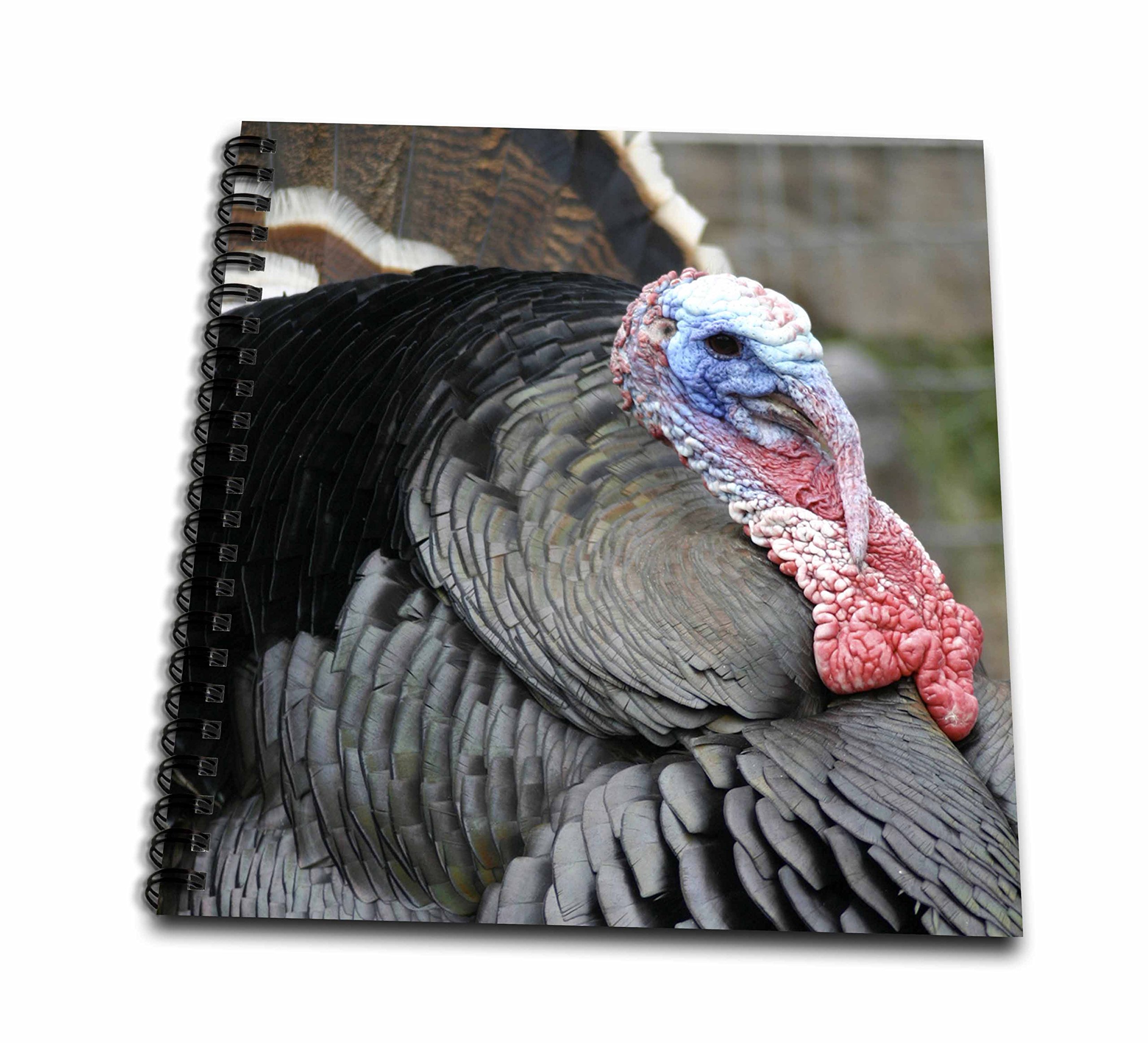 Livre de mémoire 12 pouces Nouveau-Mexique parfait pour sublimer vos photos de voyage