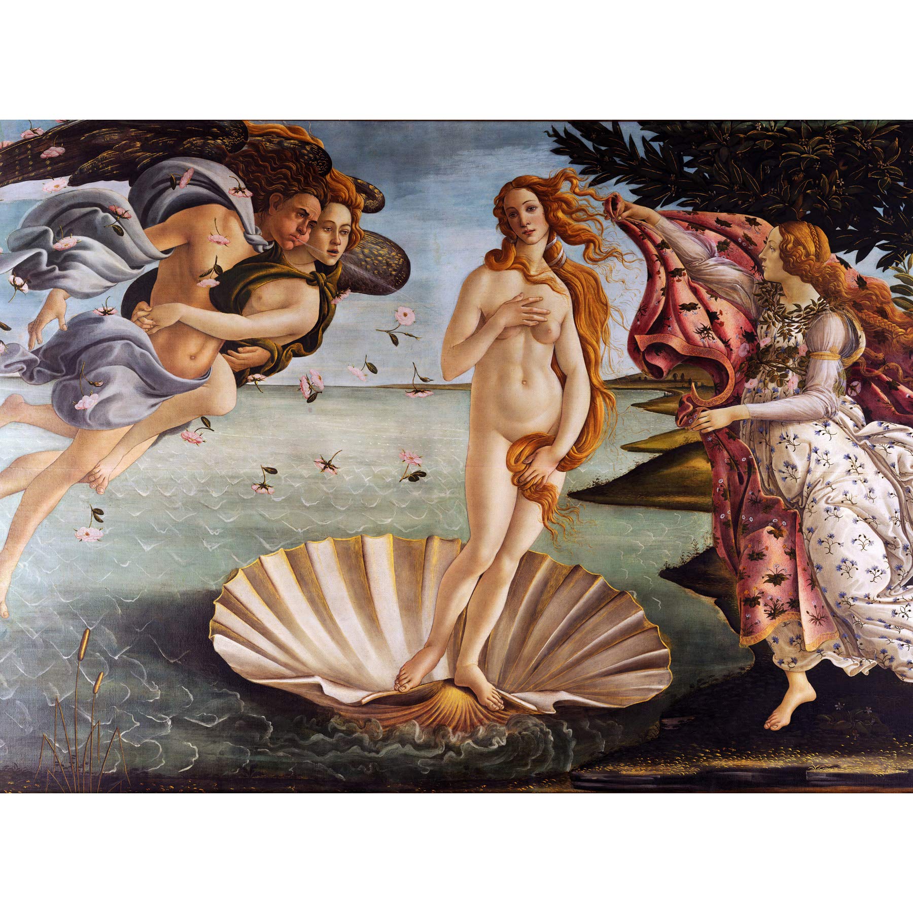 Wee Blue Coo Painting Portrait Mythology Roman Botticelli Birth Venus Canvas Print