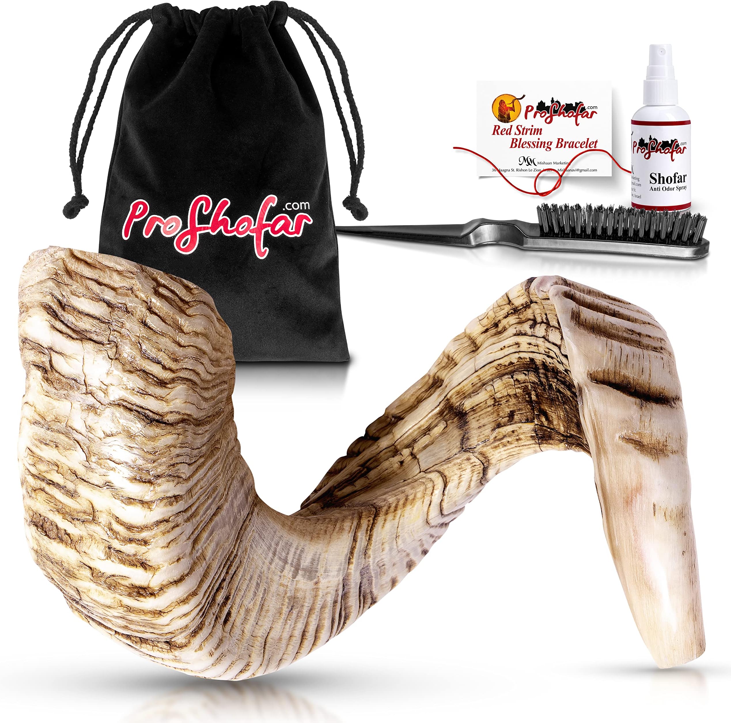Natural Jericho Shofar Set From Israel - Natural - Traditional Ancient Musical Instrument For Spiritual Ceremonies And Religious Sermons