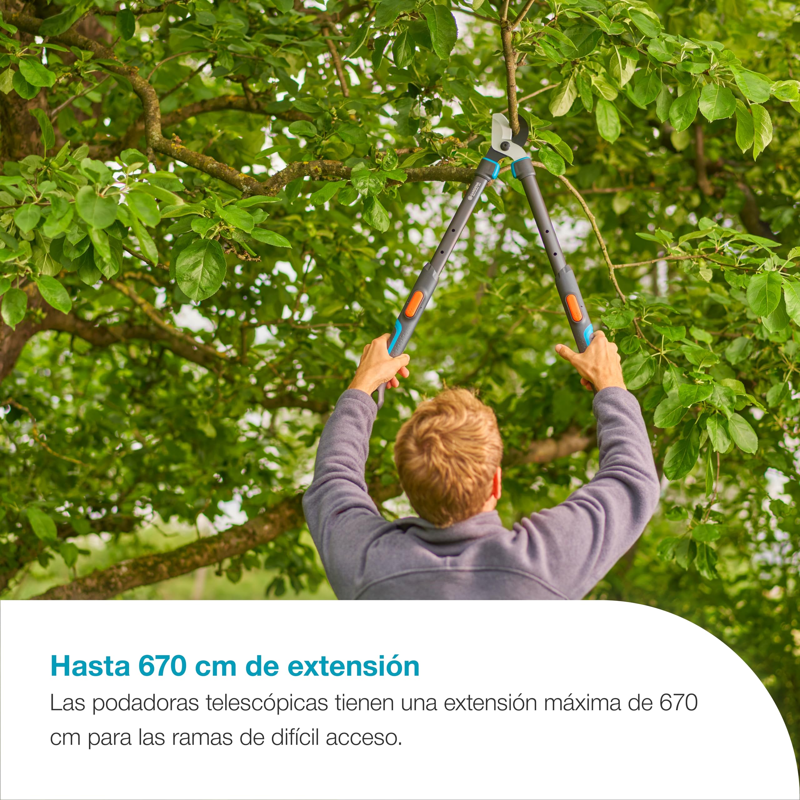 Gardena TeleCut Pro S Tijeras de podar: tijeras de podar telescópicas para madera fresca de hasta 50 mm, extensibles hasta 670 mm, cuchillas con afilado de precisión (12040-88)