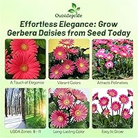 Vista 30 de Outsidepride Bicolor Mix Gerbera Seeds - 10 Pcs Perennial, Compact & Low Maintenance, Flower Seeds for Planting w/Vibrant Mixed Blooms, Ideal for