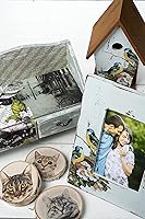 Vista 9 de Mod Podge Medio de transferencia de fotos (8 onzas), CS15067A, transparente (paquete de 3)