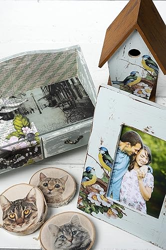 Miniatura 9 de Mod Podge Medio de transferencia de fotos (8 onzas), CS15067B (paquete de 12) transparente