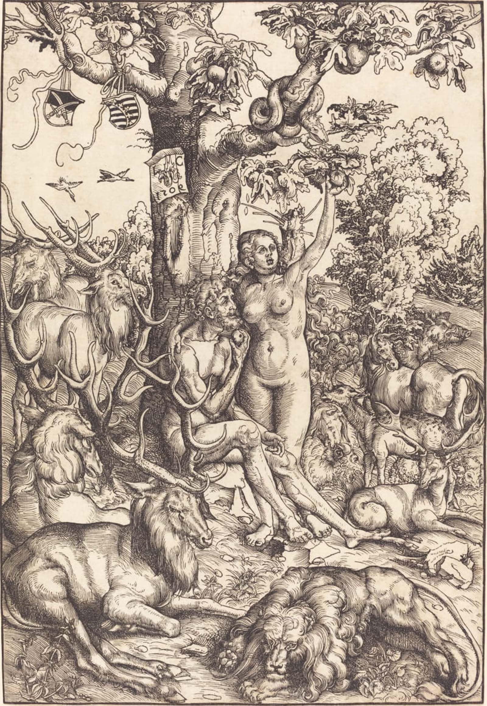 Impression Tableaux Peinture Lucas Cranach Toile Chambre 60x90cm - 5