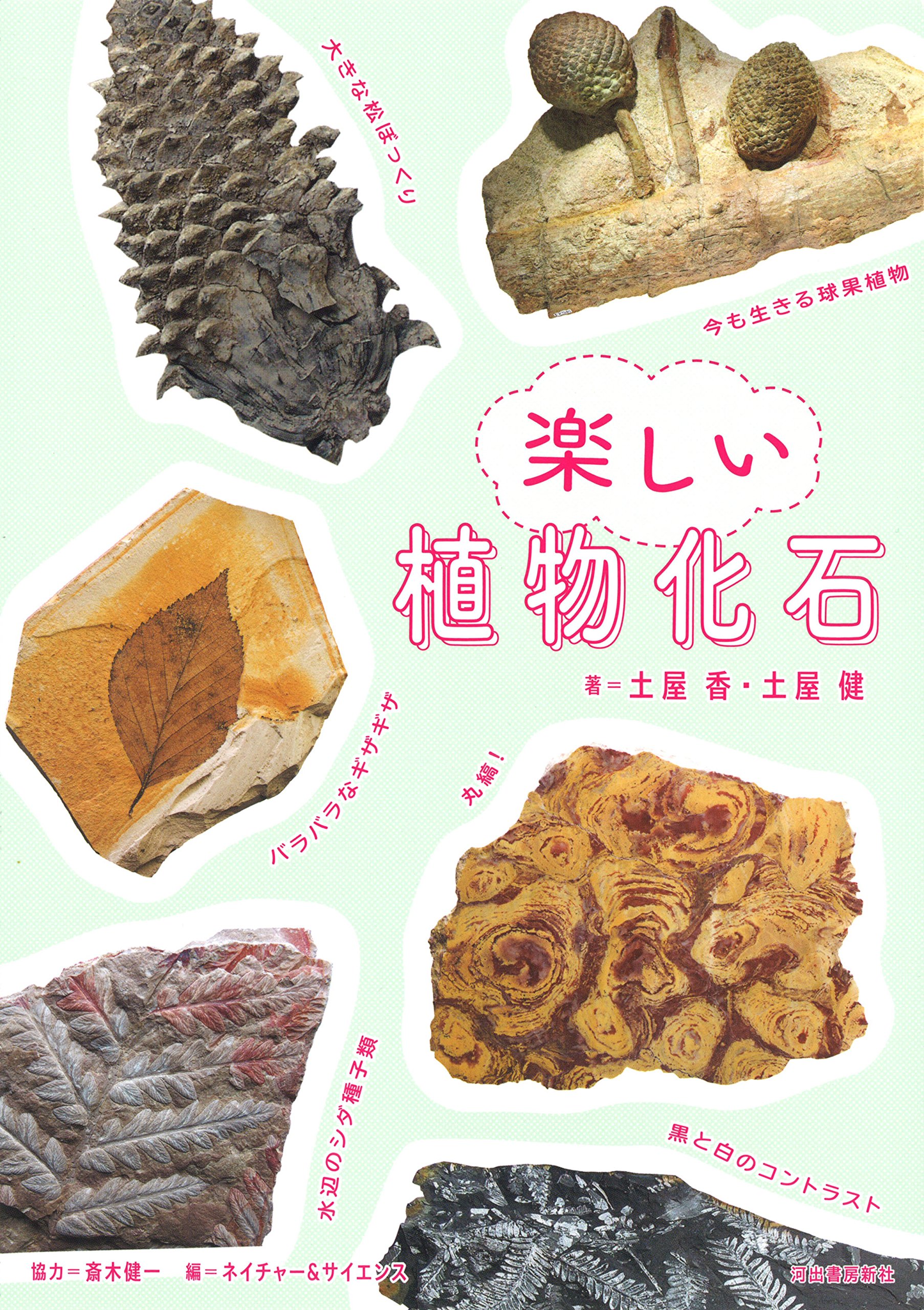 【中古】 ケイ酸植物と石灰植物 作物の個性をさぐる/農山漁村文化協会/高橋英一 ケイ酸植物と石灰植物: 作物の個性をさぐる (自然と科学技術