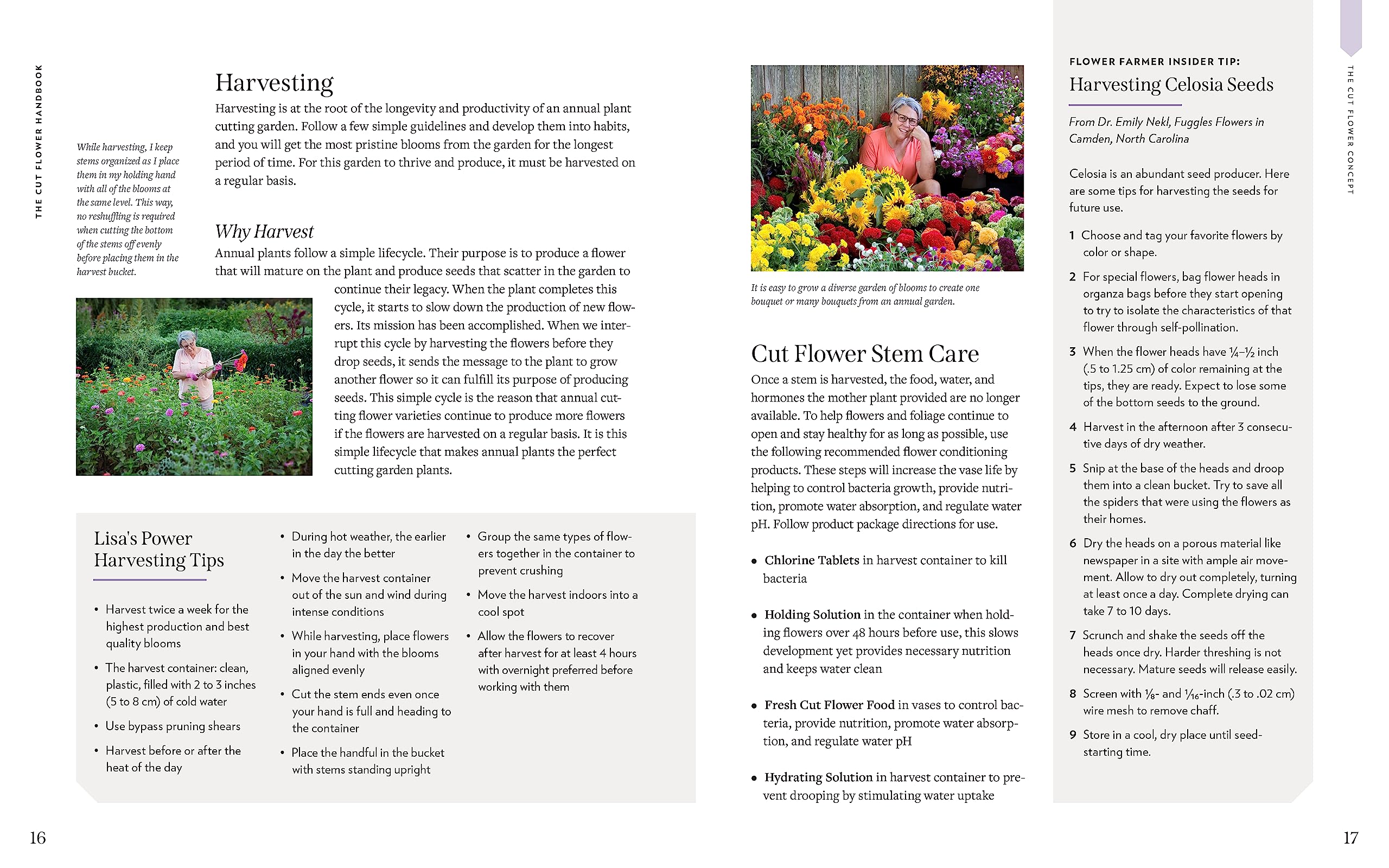 Cut Flower Handbook: Select, Plant, Grow, and Harvest Gorgeous Blooms