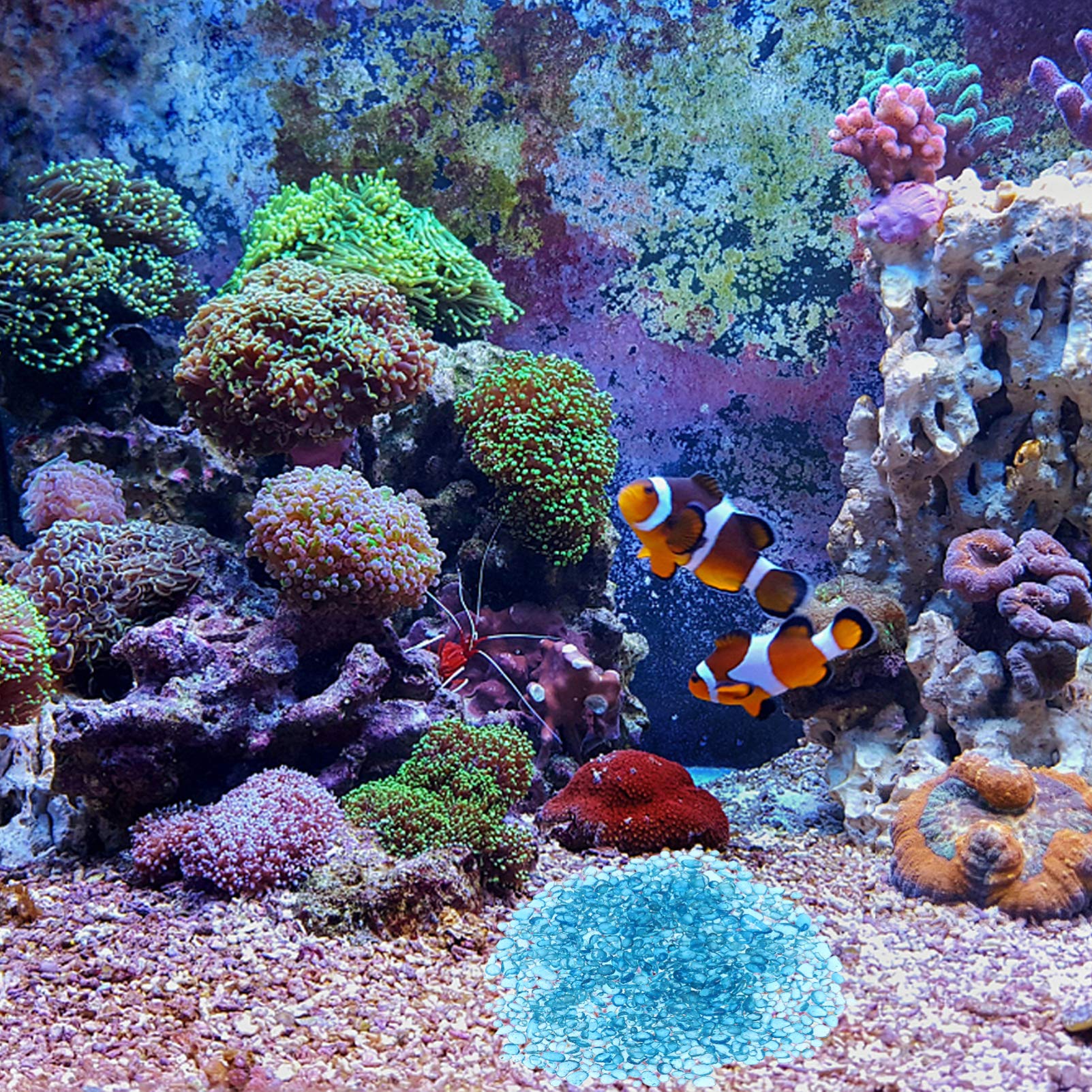 POPETPOP Gravier pour aquarium - Pierre décorative pour aquarium - Pierre de sable décorative