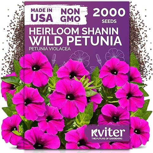 Miniatura 40 de KVITER 7000 semillas de milenrama roja (Achillea Millefolium Rubra) - Semillas de flores perennes para plantar en el exterior, reliquia y orgánicas